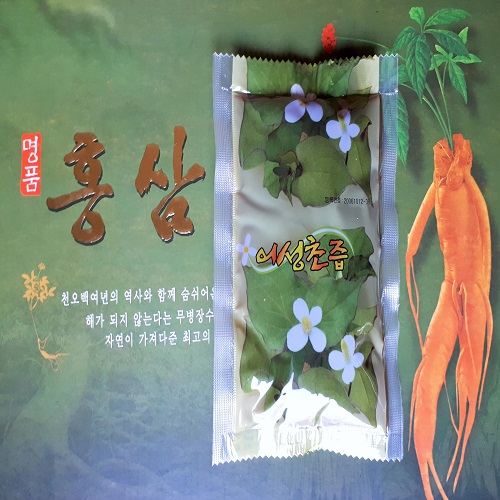 김뽀홈트 이미지