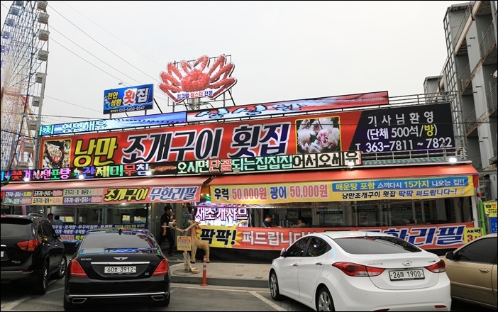 낭만조개 이미지