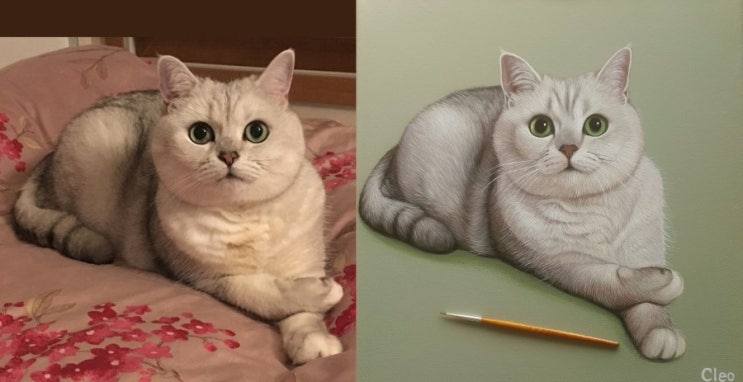 클레오헤어 이미지