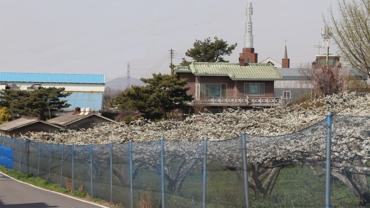 대일농원 이미지