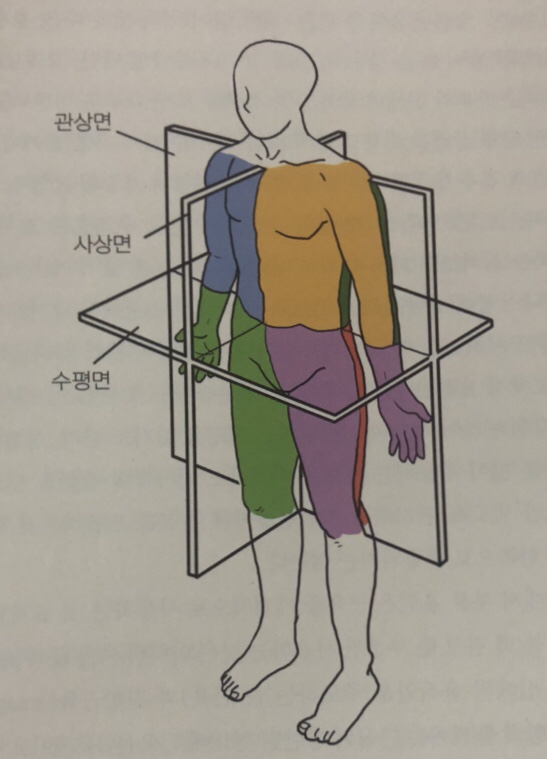 신체발란스운동연구소 이미지