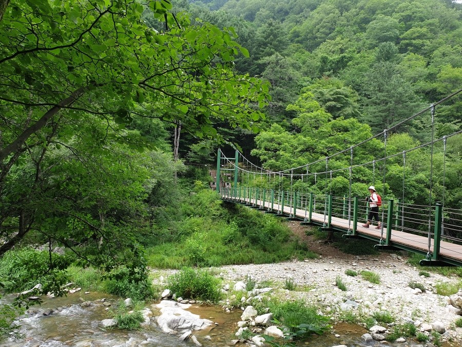 정이만물 이미지