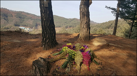 한국산림복지진흥원하늘숲추모원 이미지