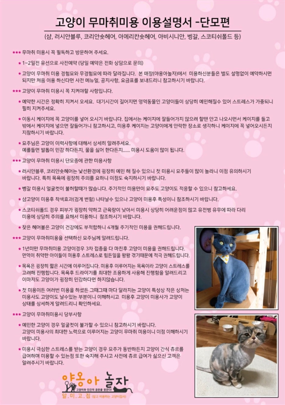야옹아놀자 이미지