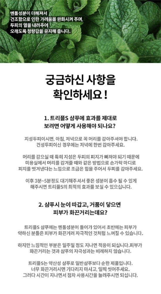 에스에스투 이미지