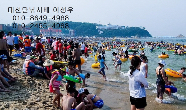 서해왕낚시 이미지