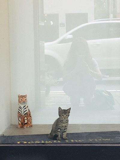 디자인더 이미지