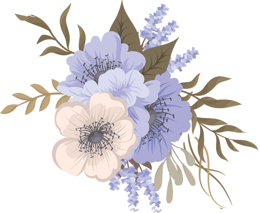 로즈꽃-장미과.png