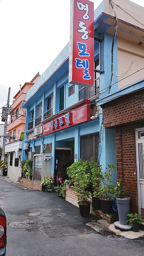 명동장 이미지