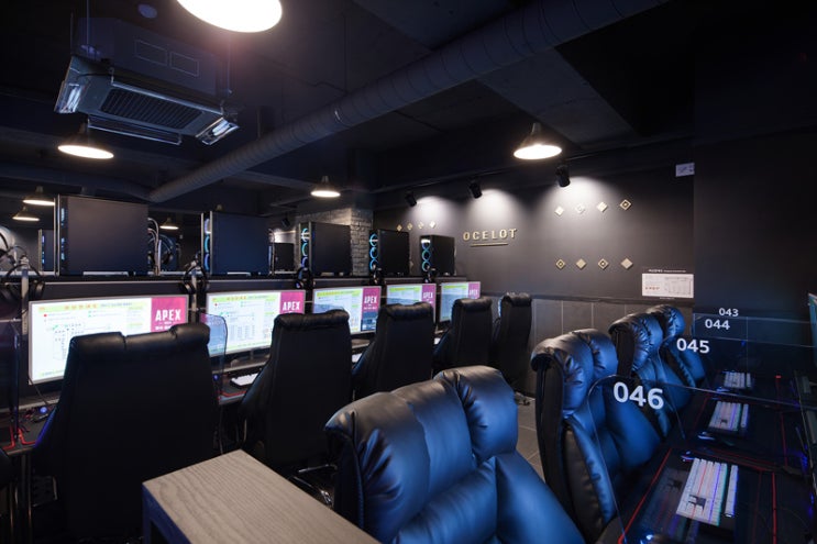 오셀롯pc 수원권선점 이미지