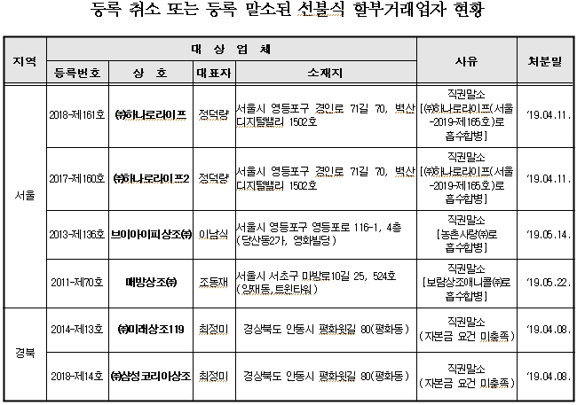 보람상조애니콜 이미지