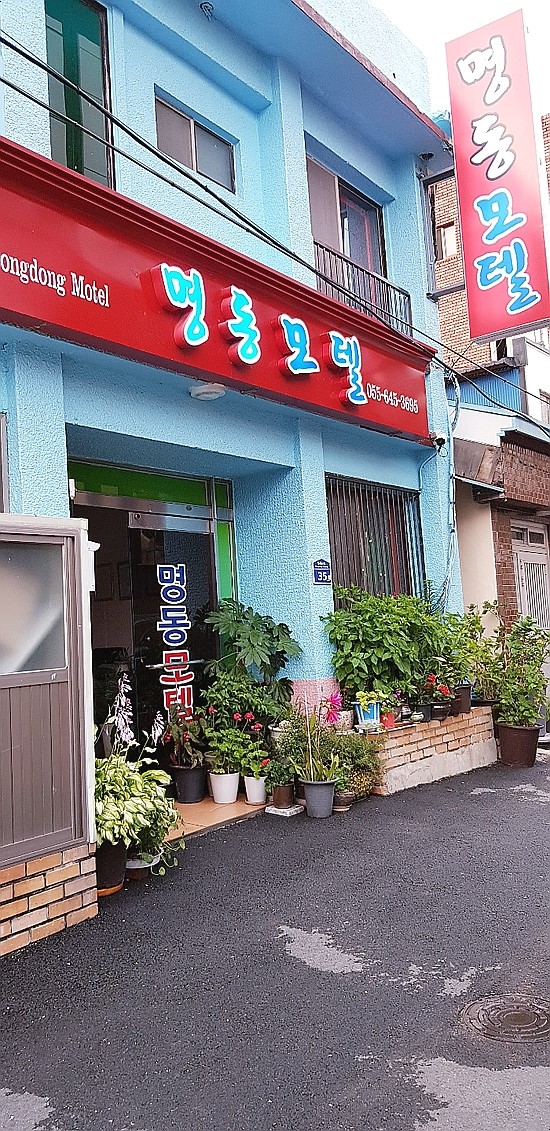 명동장 이미지