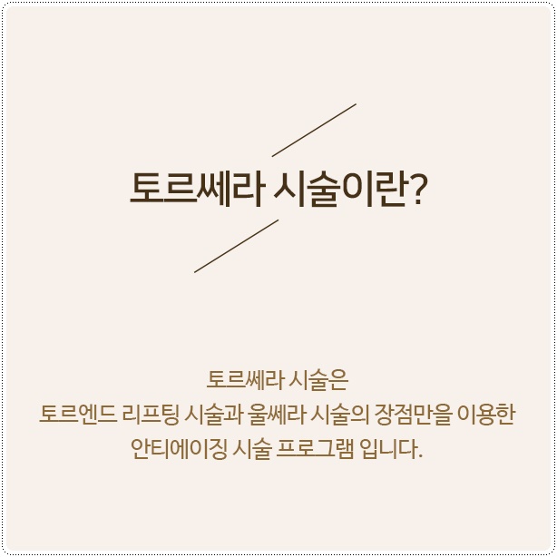 토르시스템 이미지