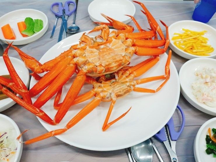 오델리 이미지