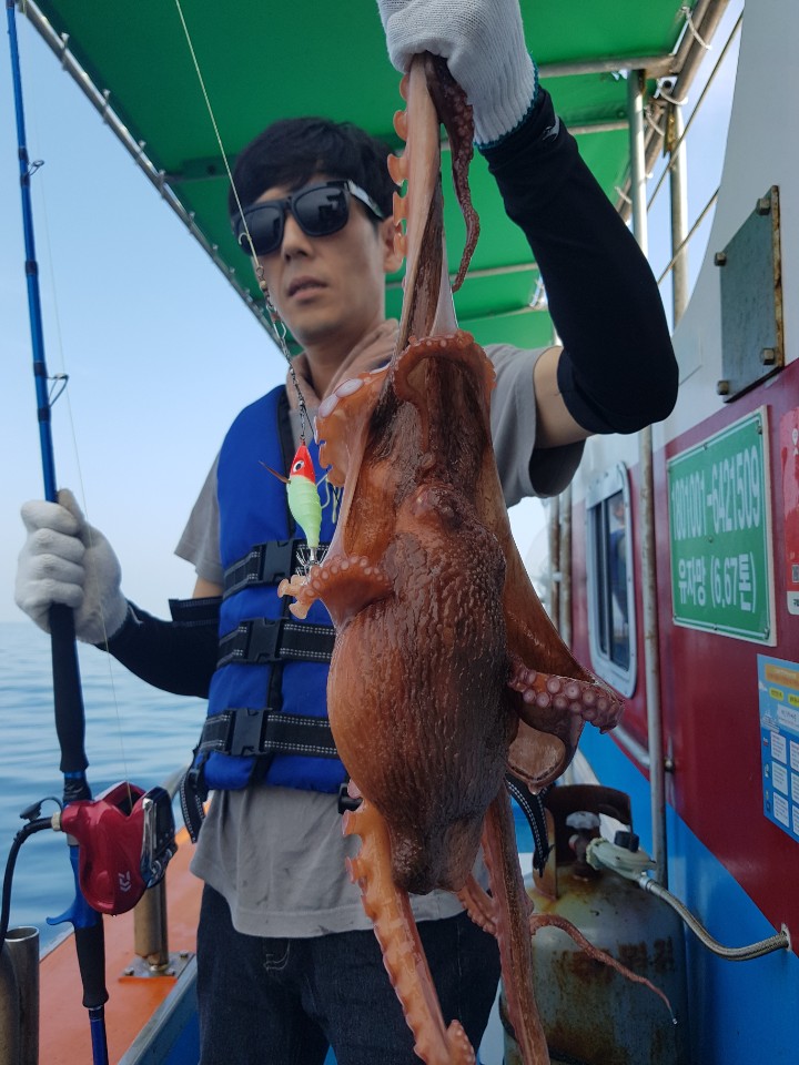 동해호 이미지