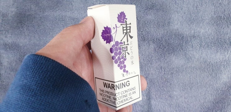 동경전자 이미지