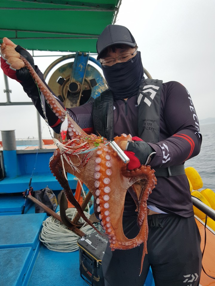 동해호 이미지