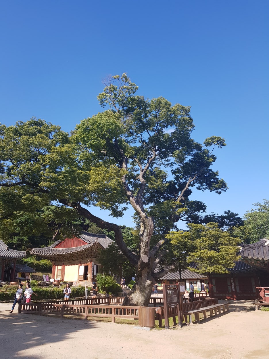 청춘후반전 이미지