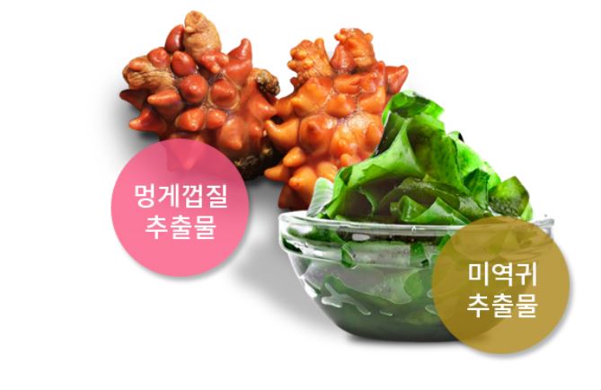 아토플러스 이미지