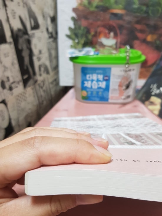 슈가레인(Sugarrain) 이미지