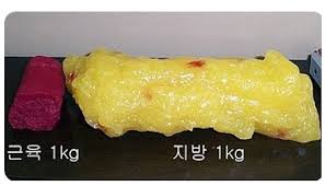 핫바디짐 이미지