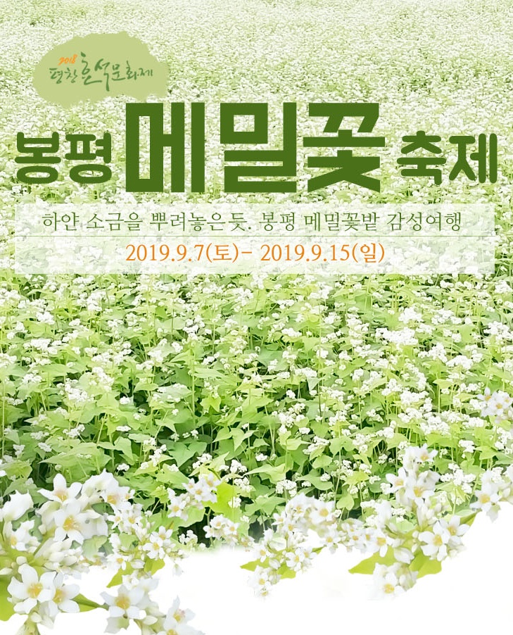 모란세계여행 이미지