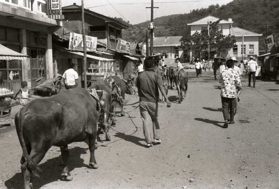 영산포한우 이미지
