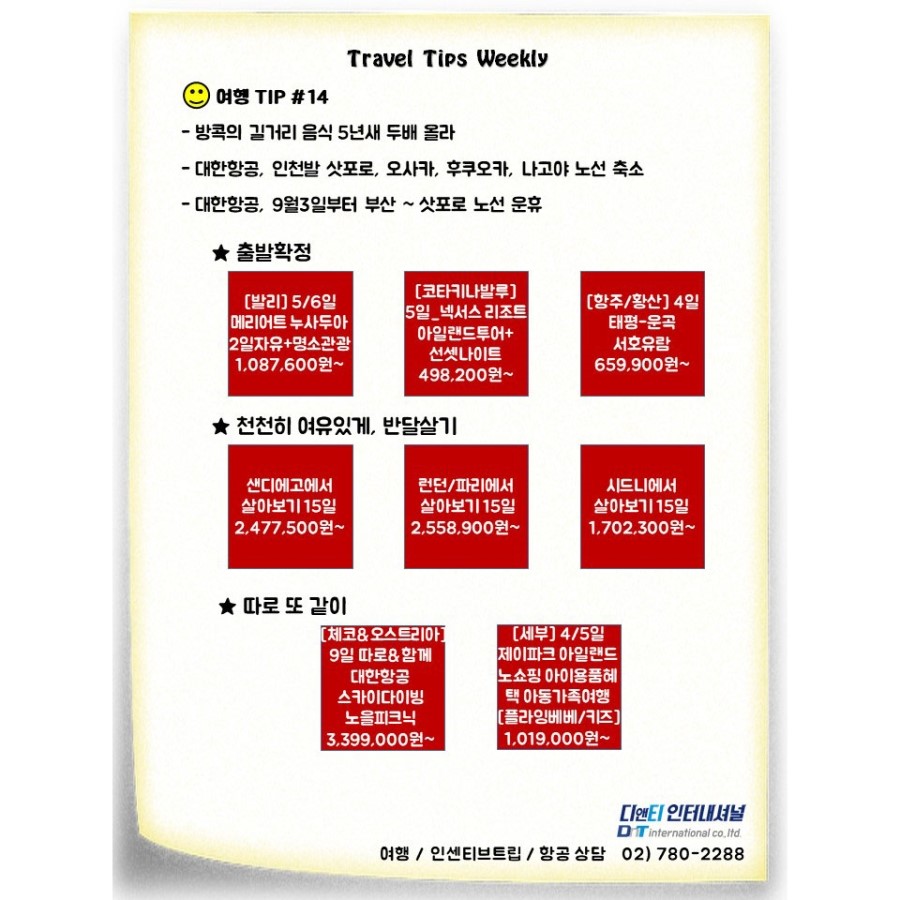 디앤티인터내셔널 이미지