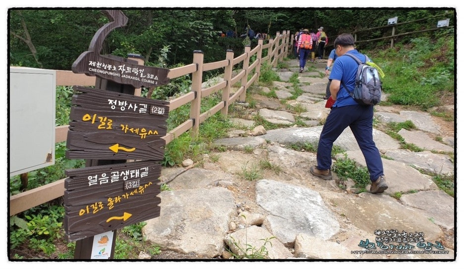 제천청사진 이미지