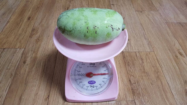 체리포포 이미지