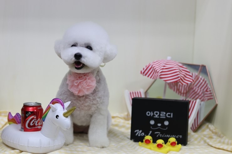 영아미용 이미지