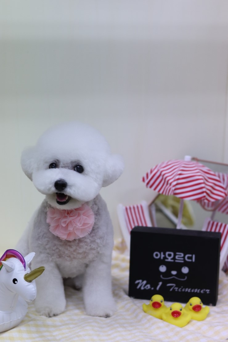 영아미용 이미지
