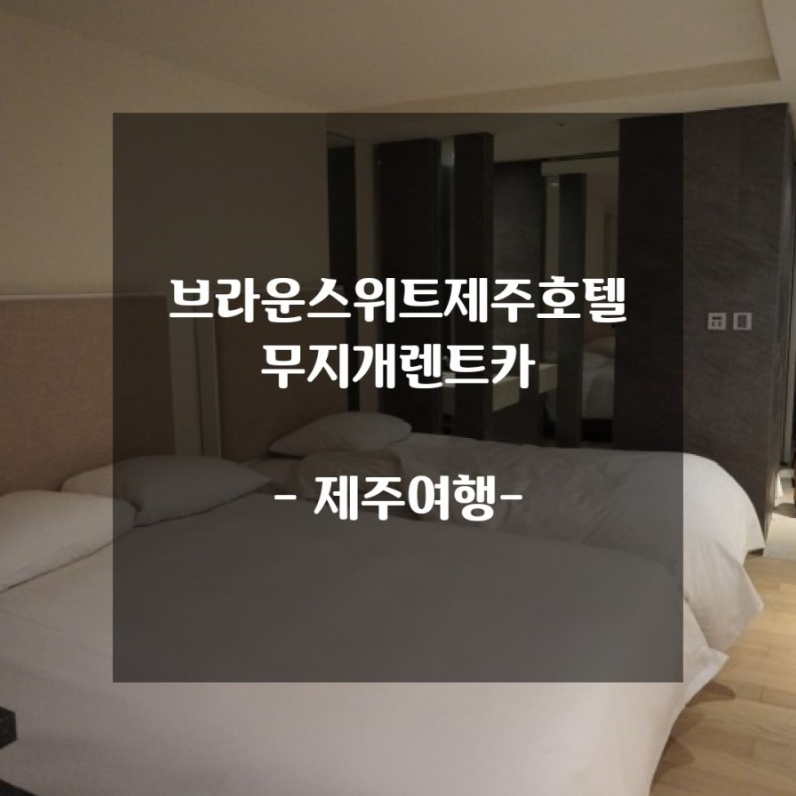스위트브라운 이미지
