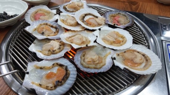 용궁가리비 이미지