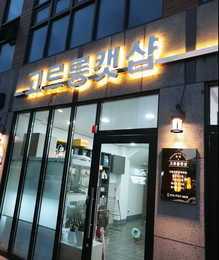 타니네일 이미지
