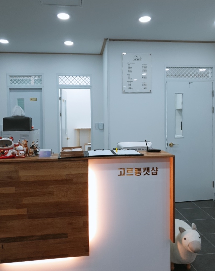 타니네일 이미지