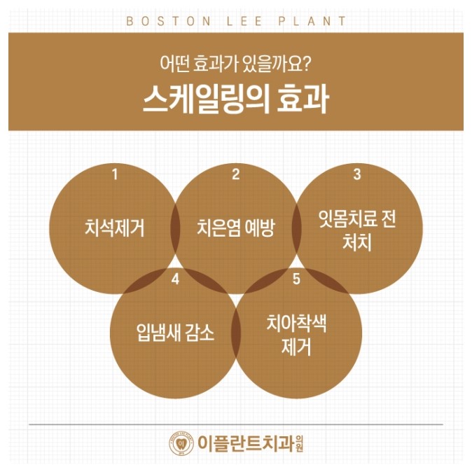 이플란트치과 이미지