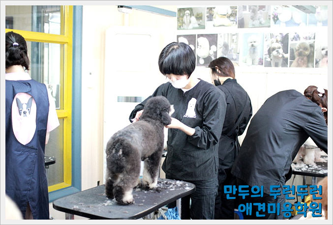 미용나라 이미지