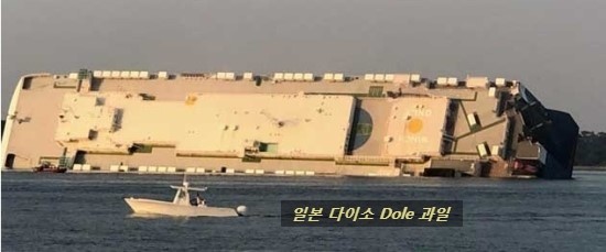레이호 이미지