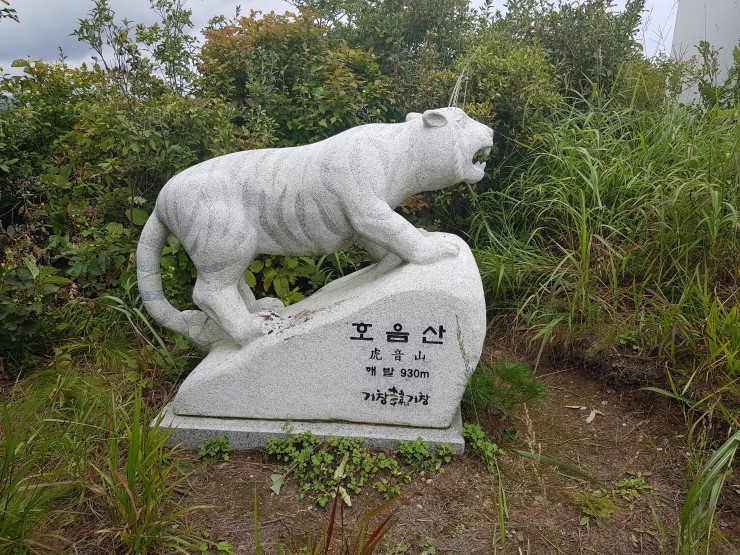 호음산 정상 이미지