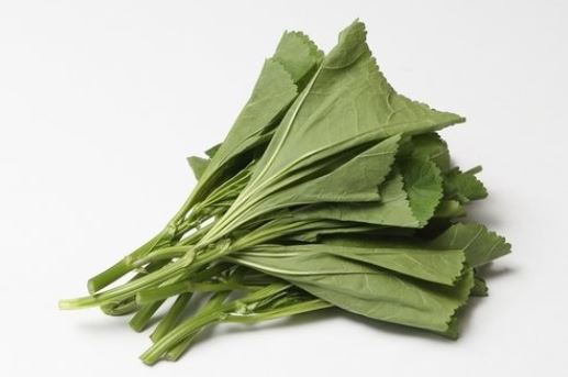 커달 이미지
