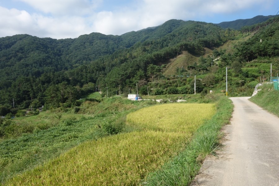 중군성 이미지