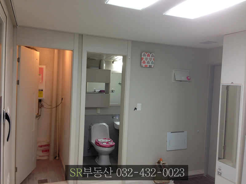 더 그린즈 이미지