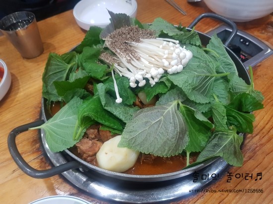 조마루뼈다귀 이미지
