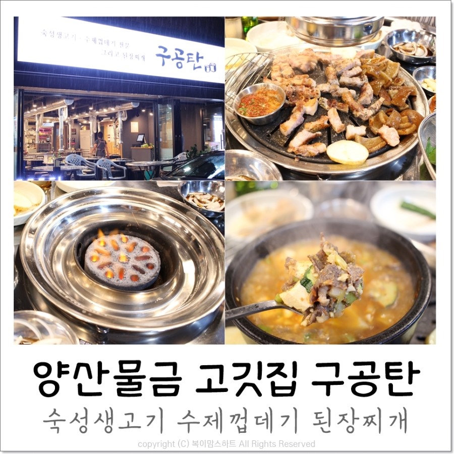 구공탄생고기 이미지
