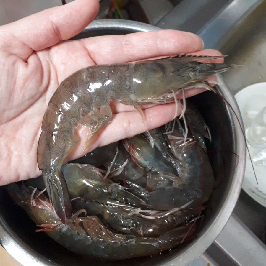 가방공판장 이미지
