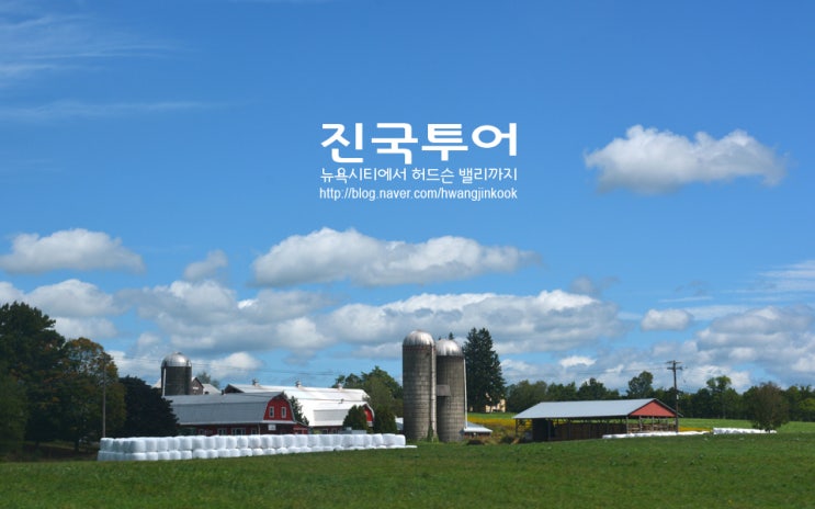 맨하탄노래클럽 이미지