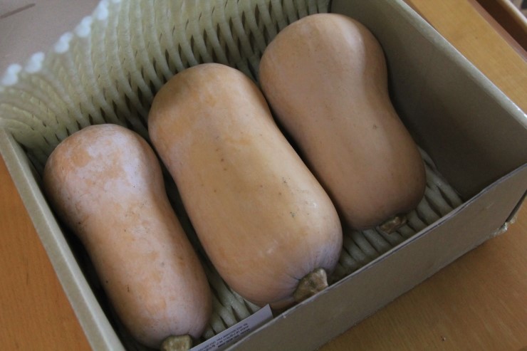 영양금바다농장 이미지
