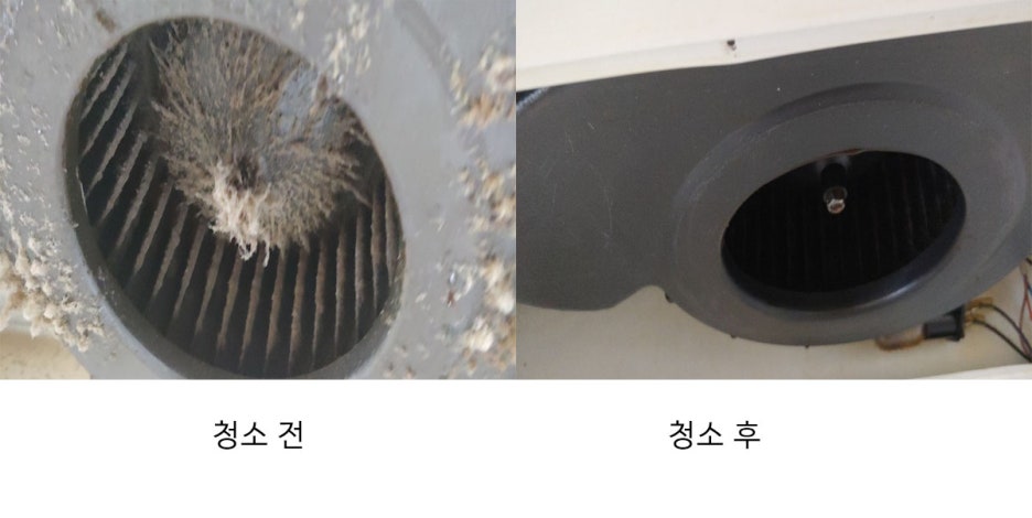 마미손크린 이미지