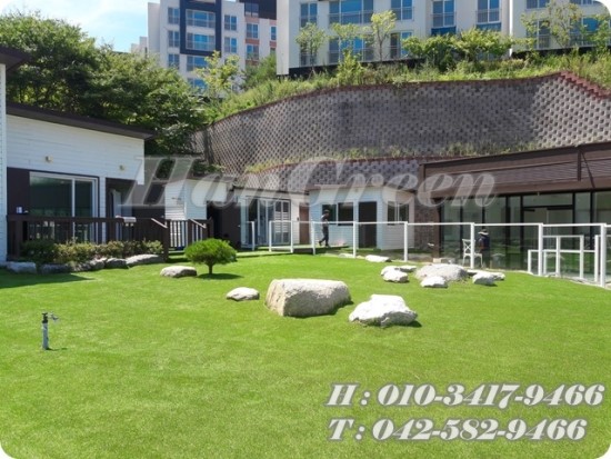 경북잔디 이미지